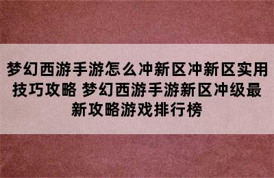 梦幻西游手游怎么冲新区冲新区实用技巧攻略 梦幻西游手游新区冲级最新攻略游戏排行榜